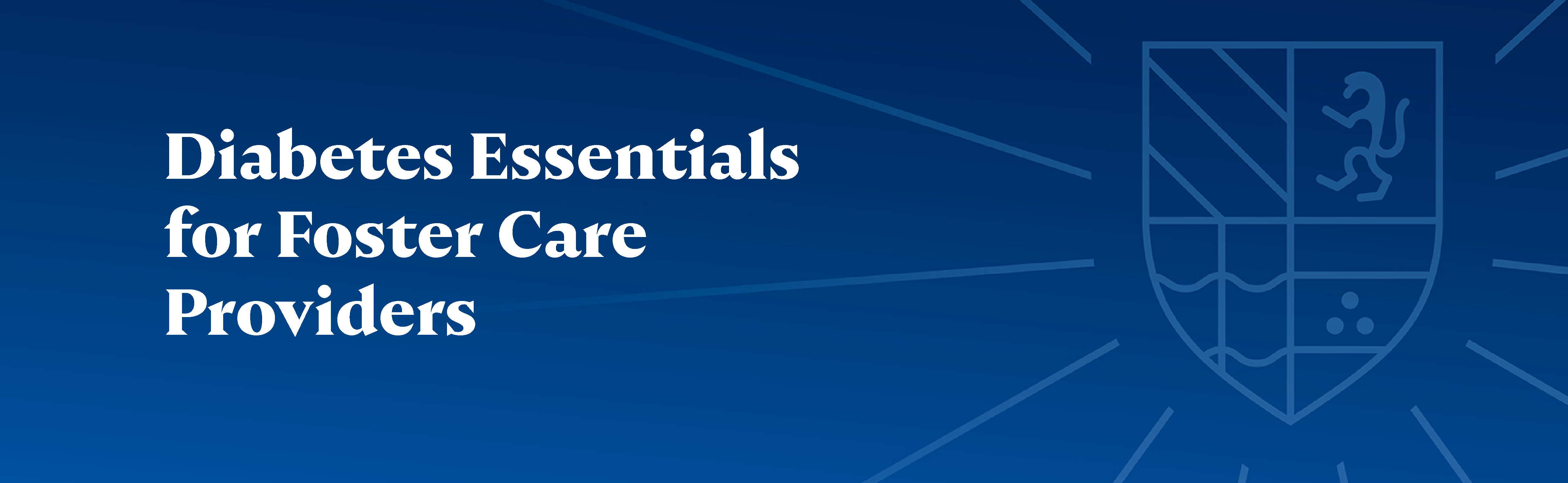 Diabetes Essentials for Foster Care Providers Banner